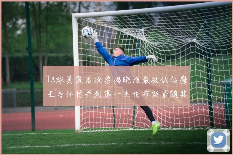 TA球员匿名投票揭晓谁最被低估鹰王与怀特并列第一杰伦布朗紧随其后
